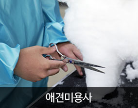 서울연희실용전문학교 애완동물학과 동물사육사 특수동물사육 전공관련 자격증