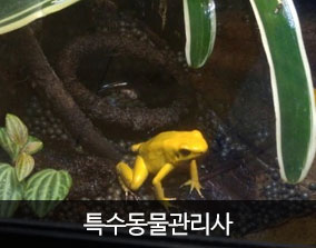 서울연희실용전문학교 애완동물학과 동물사육사 전공관련 자격증